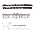 collier pour chien style rétro avec inserts