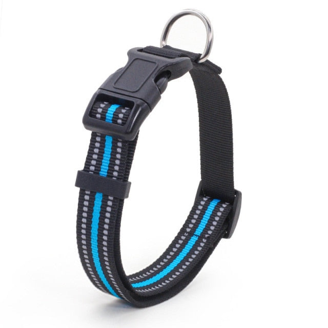 Collier pour chien nylon refléchissant