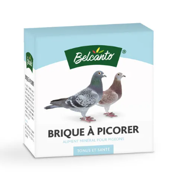 Lot de 12 BRIQUES A PICORER BELCANTO 450g
