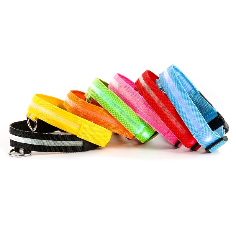 Collier chien lumineux LED