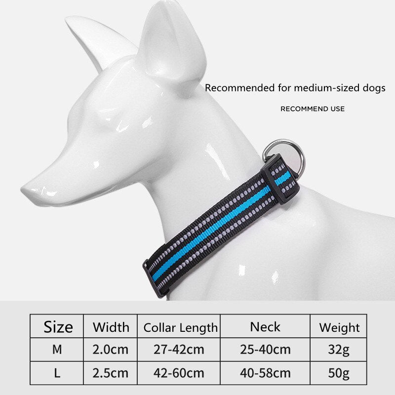 Collier pour chien nylon refléchissant