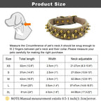collier en cuir clouté pour chien