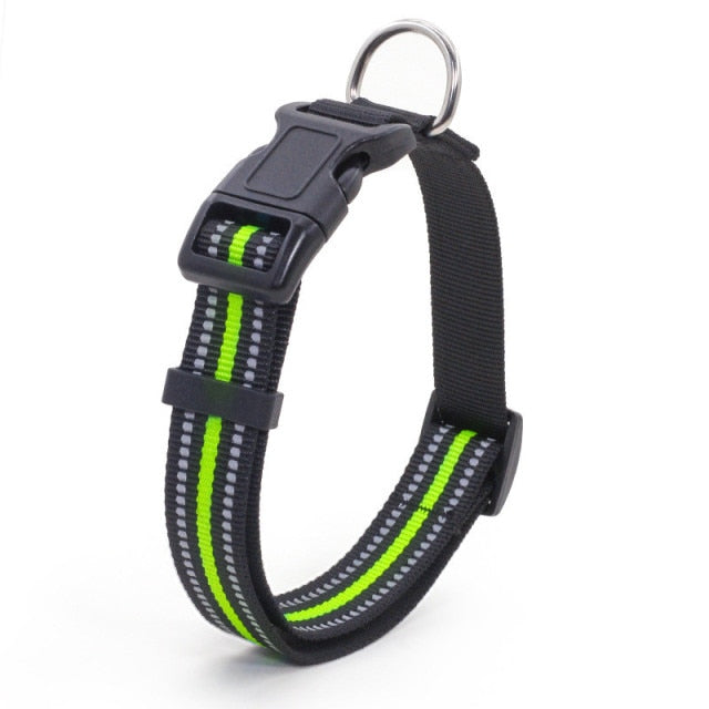 Collier pour chien nylon refléchissant
