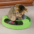 Disque de jeu pour chat