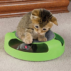 Disque de jeu pour chat