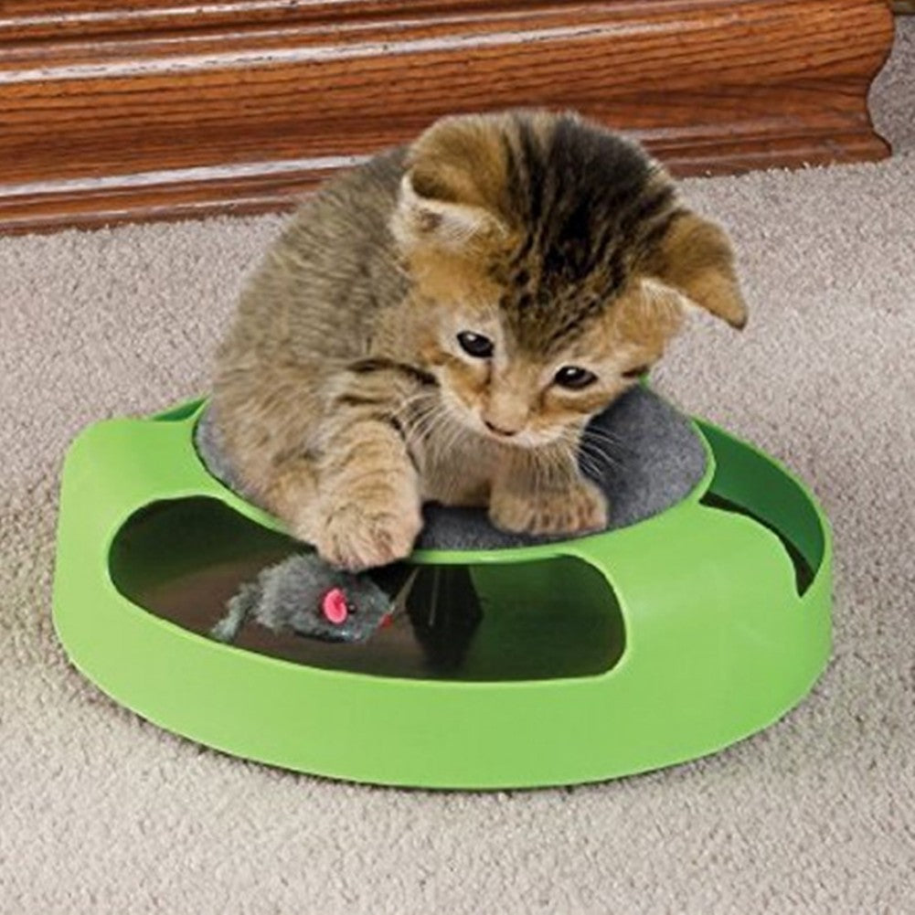 Disque de jeu pour chat