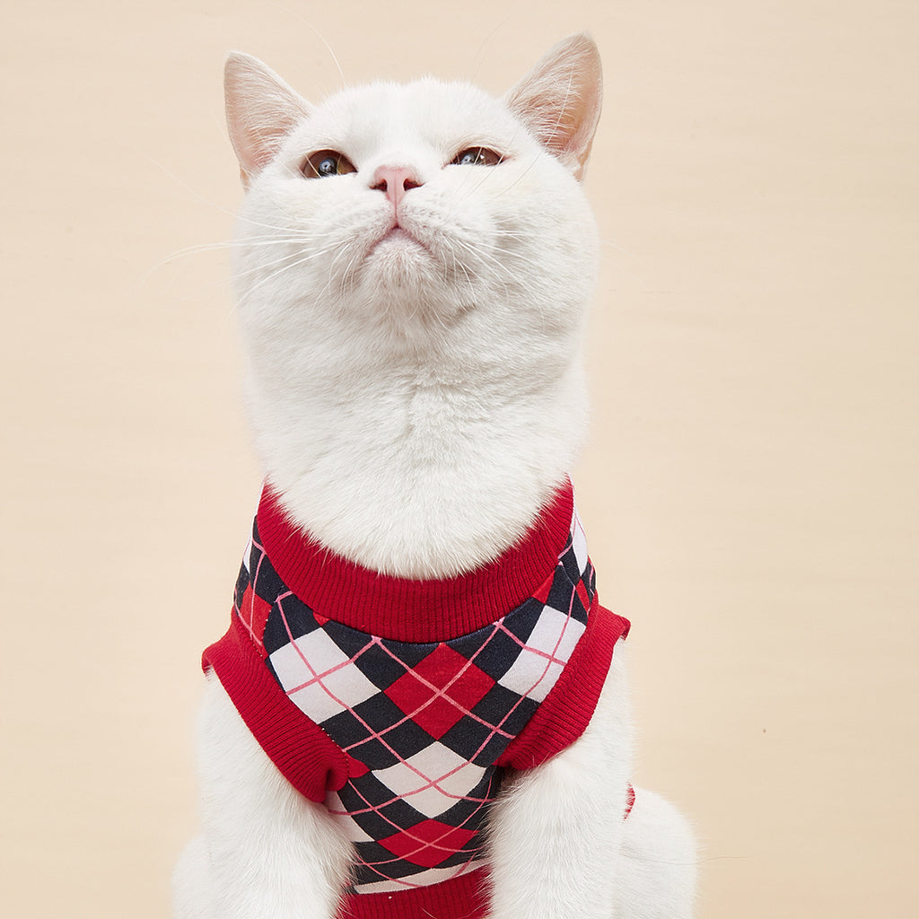 Gilet à carreaux pour chat