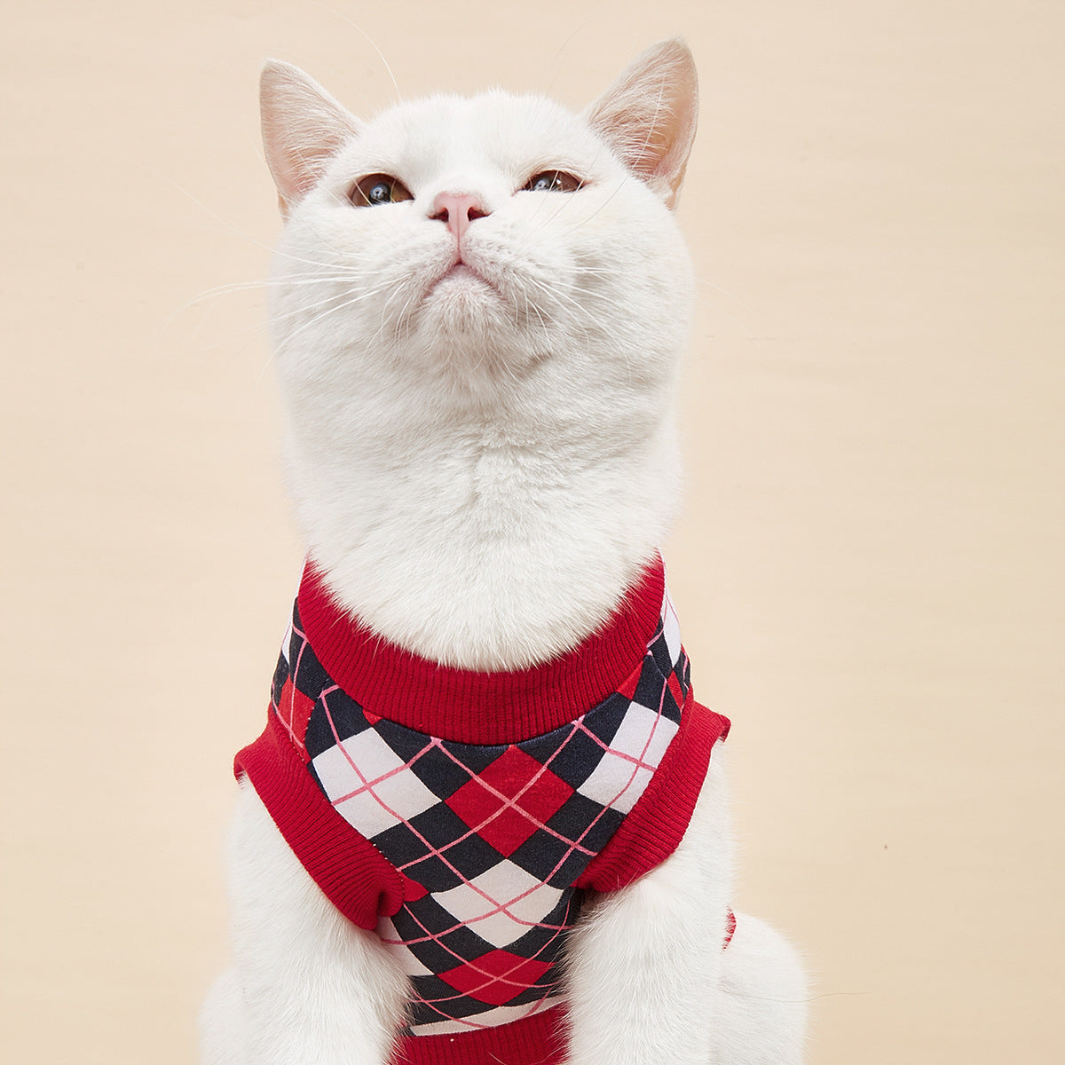 Gilet à carreaux pour chat