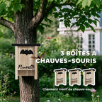 Lot de 3 cabanes chauve-souris