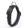 Collier pour chien nylon refléchissant