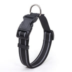 Collier pour chien nylon refléchissant
