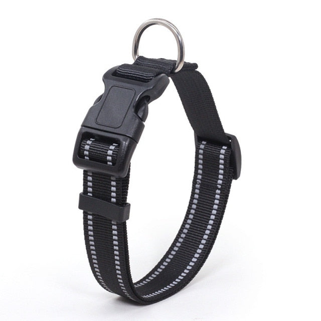 Collier pour chien nylon refléchissant