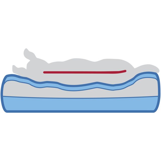 Vital sofa orthopédique Bendson