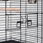 Volière oiseaux moyen et perroquet