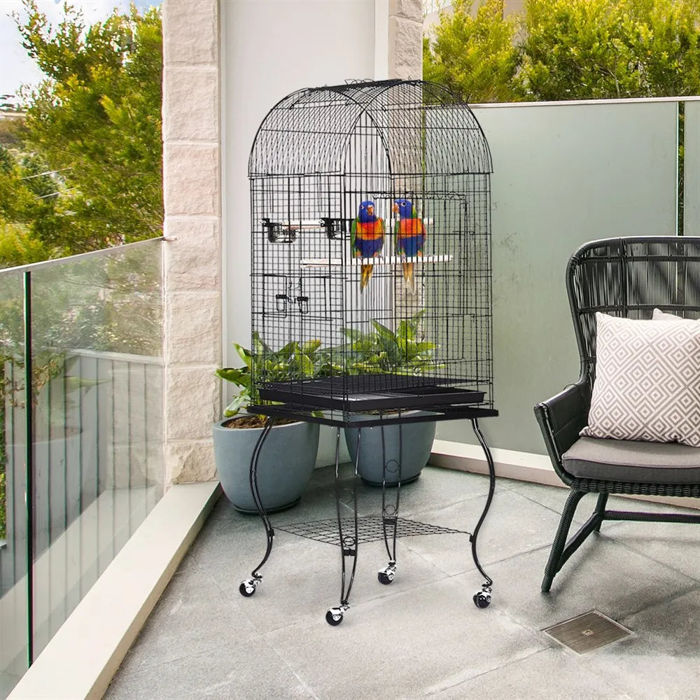Volière oiseaux moyen et perroquet