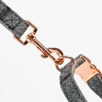 Ensemble Laisse et Collier tissu pour chien