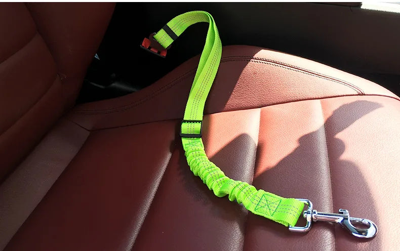 Attache de sécurité pour chien