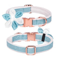 Collier chien nylon avec fleur