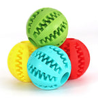 Balle cache croquettes