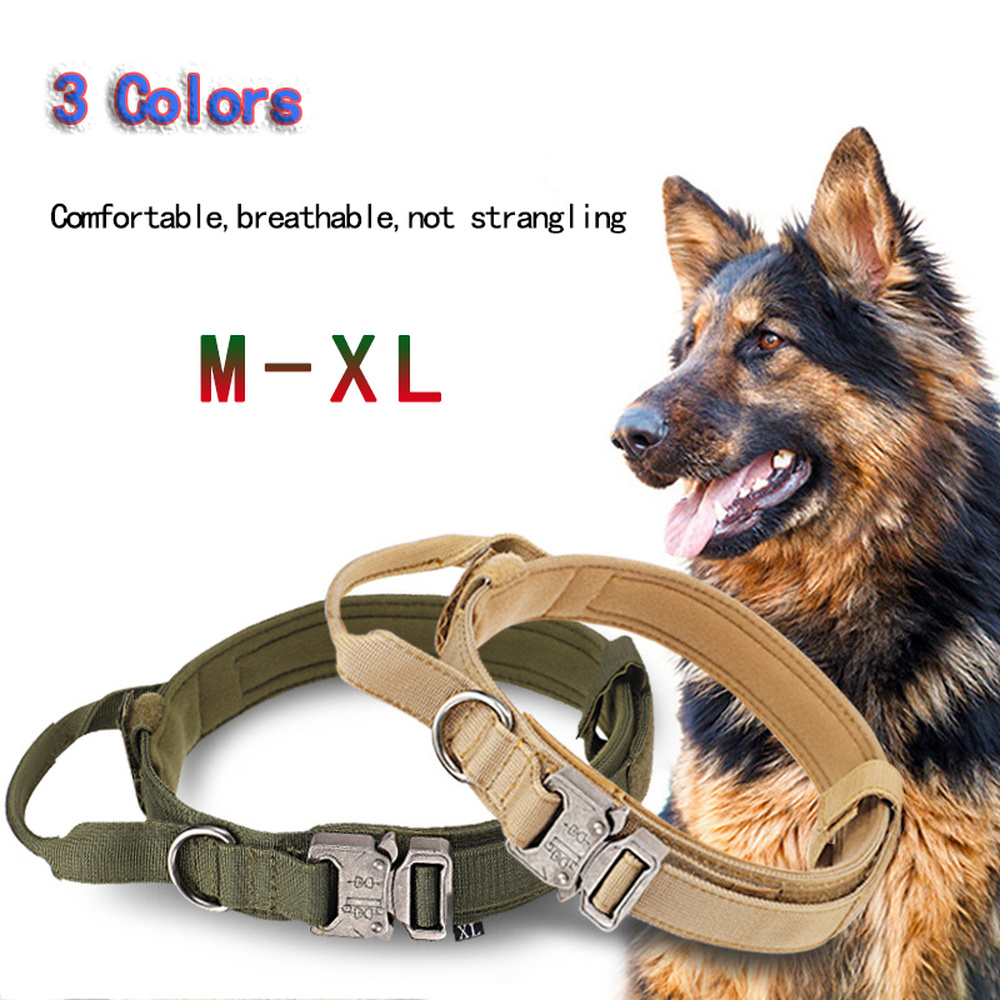 Collier tactique pour chien nylon
