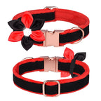 Collier chien nylon avec fleur