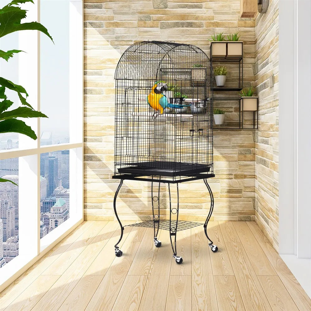 Volière oiseaux moyen et perroquet
