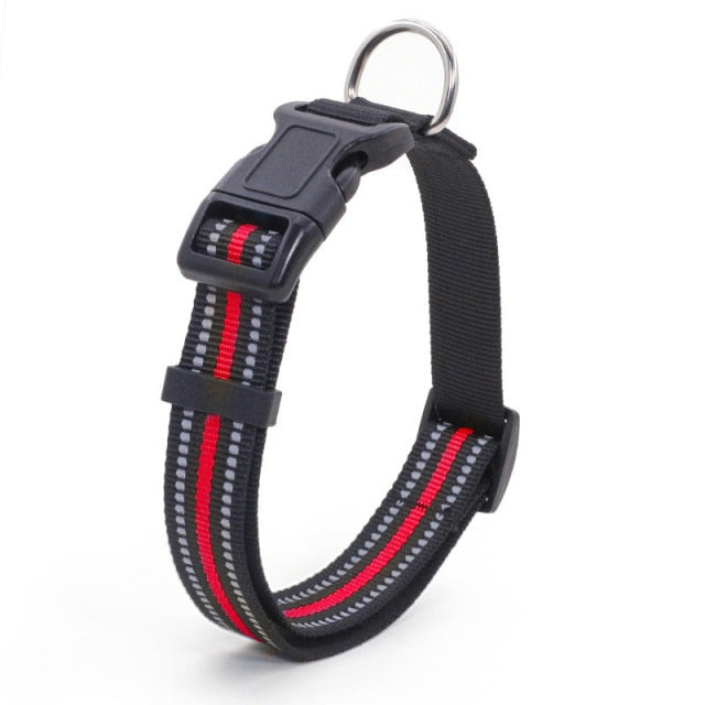 Collier pour chien nylon refléchissant
