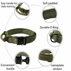 Collier tactique pour chien nylon