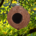 Nid d'oiseaux en coco