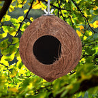 Nid d'oiseaux en coco