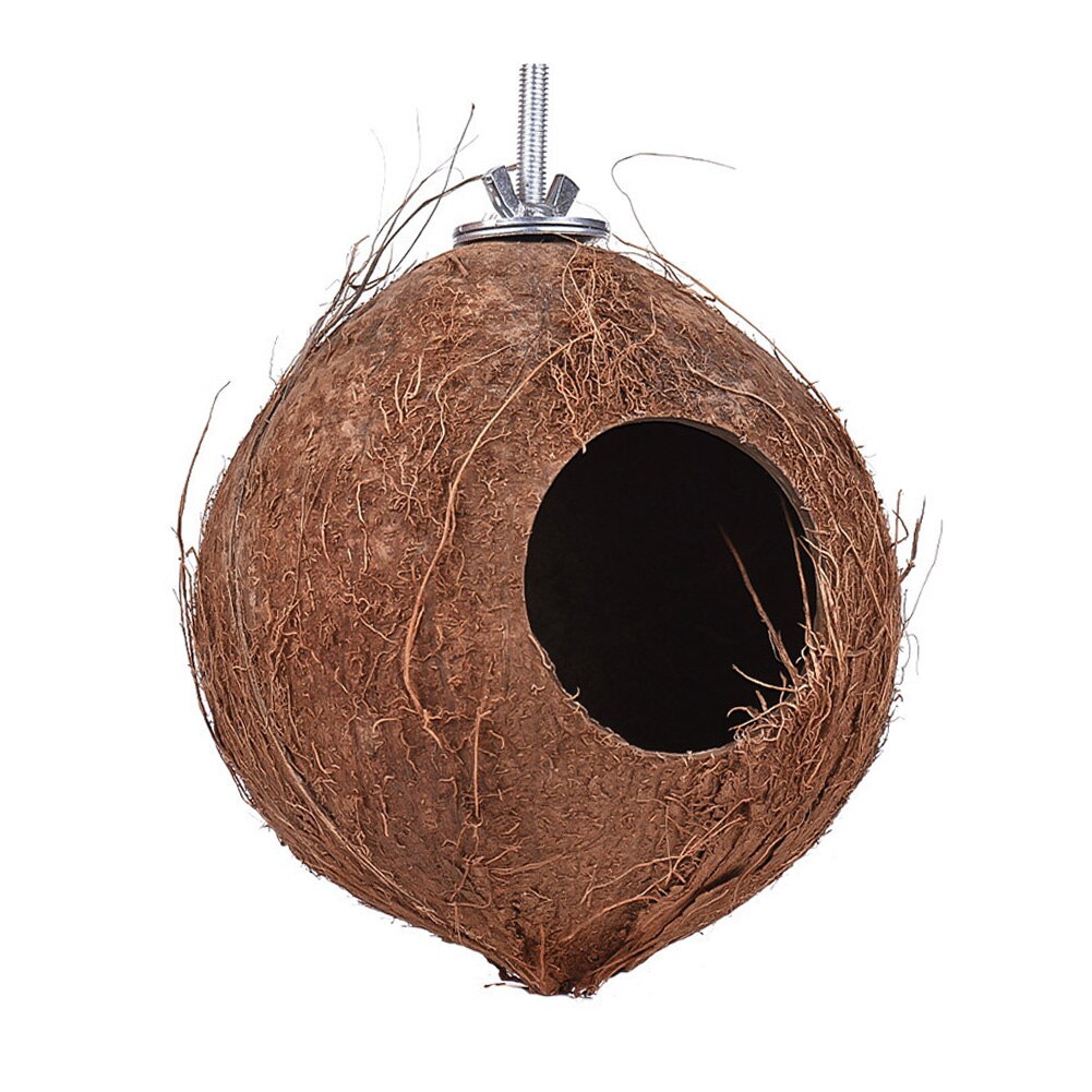 Nid d'oiseaux en coco