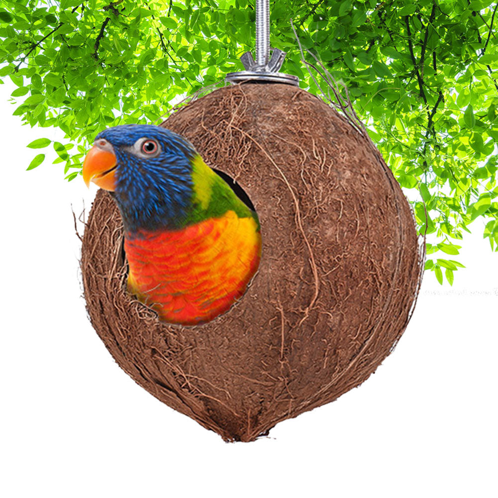 Nid d'oiseaux en coco