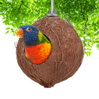 Nid d'oiseaux en coco