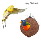Nid d'oiseaux en coco