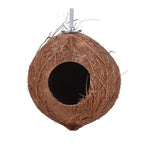 Nid d'oiseaux en coco