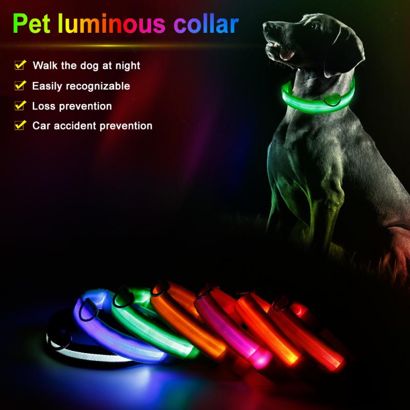 Collier chien lumineux LED