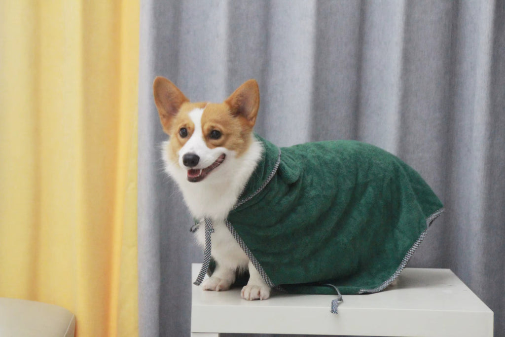 Peignoir éponge pour chien