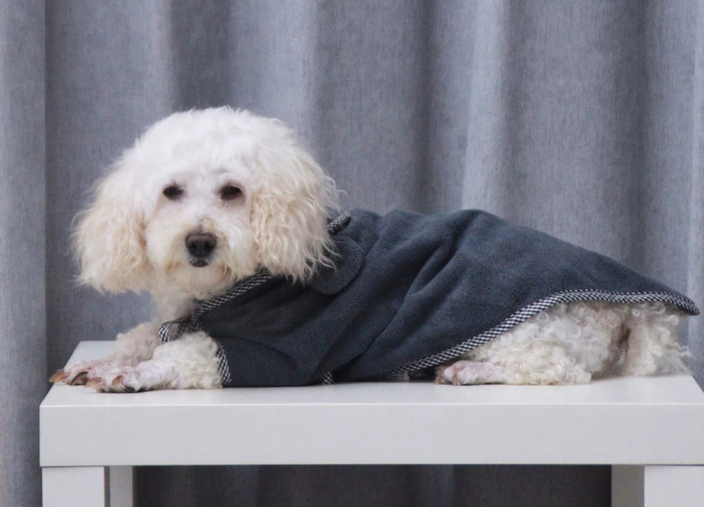 Peignoir éponge pour chien