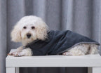 Peignoir éponge pour chien