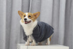 Peignoir éponge pour chien