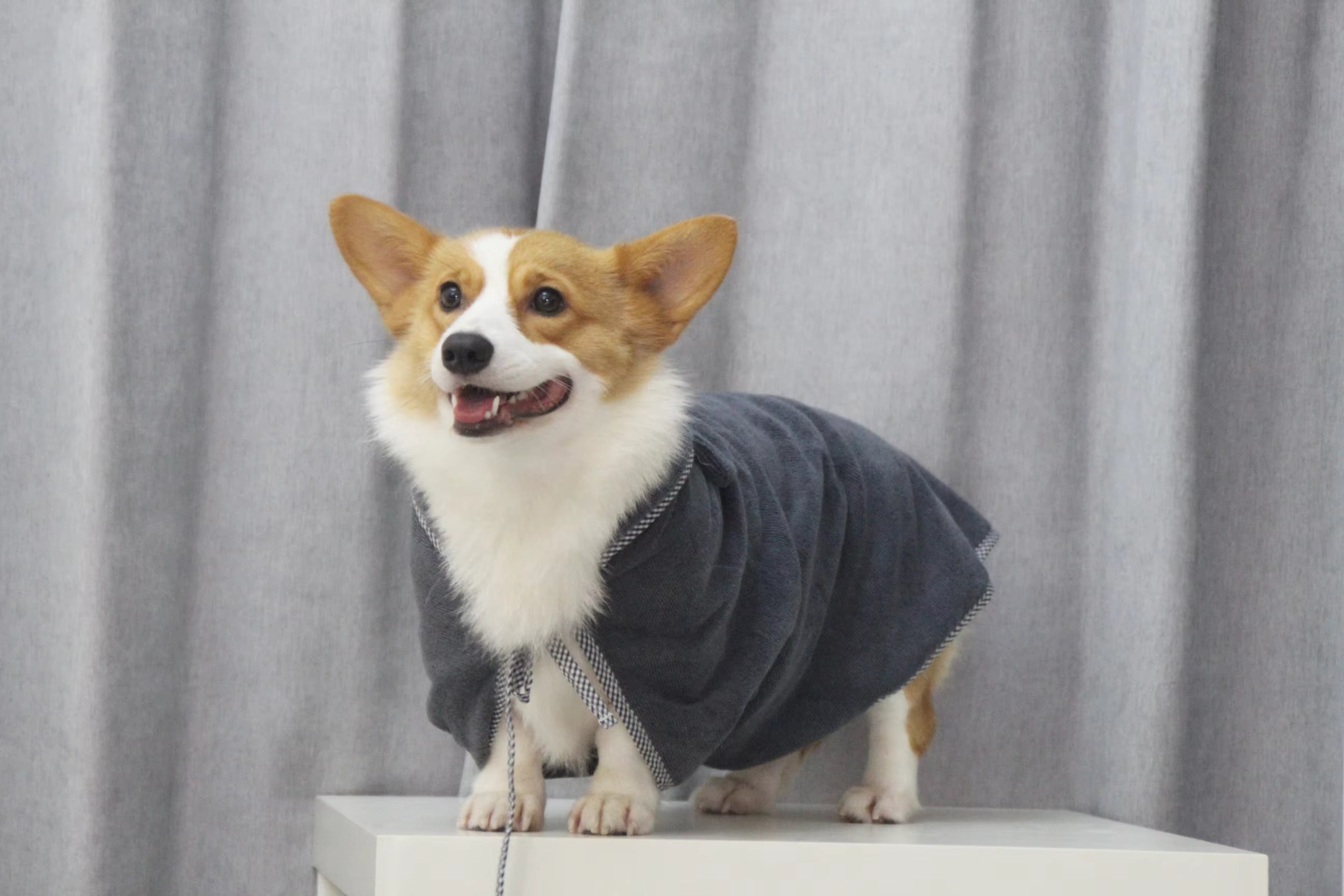 Peignoir éponge pour chien