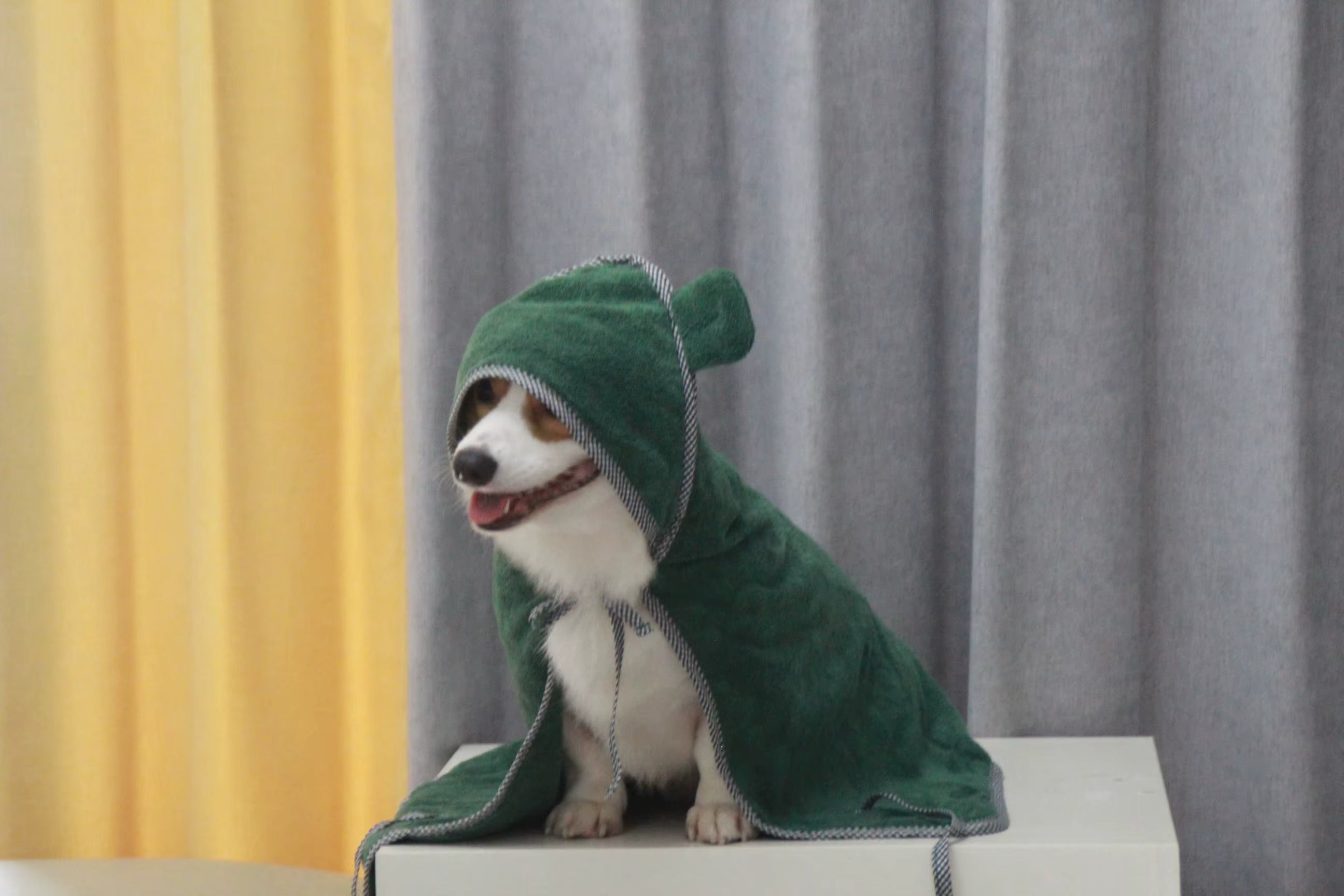 Peignoir éponge pour chien