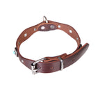 collier pour chien style rétro avec inserts