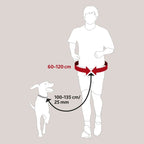 Ceinture ventrale avec laisse