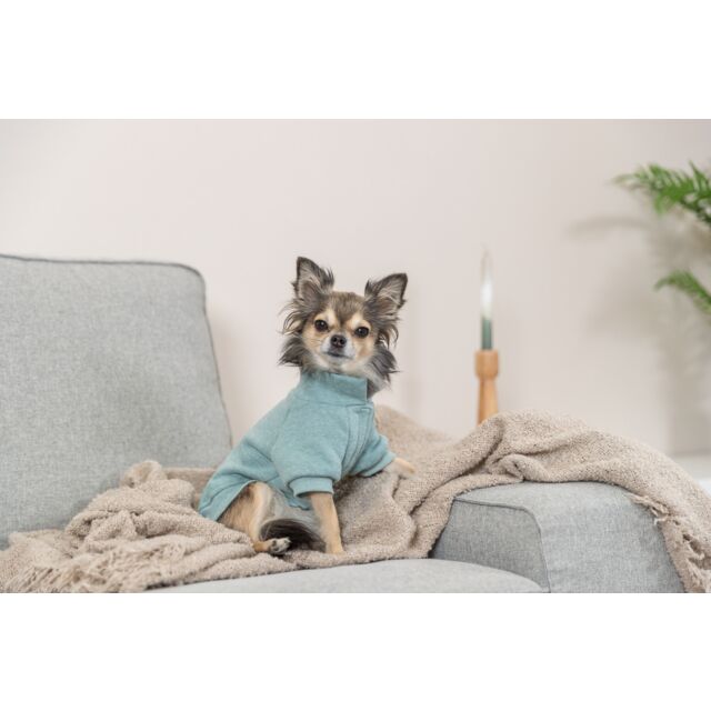 Sweat-shirt Littleton