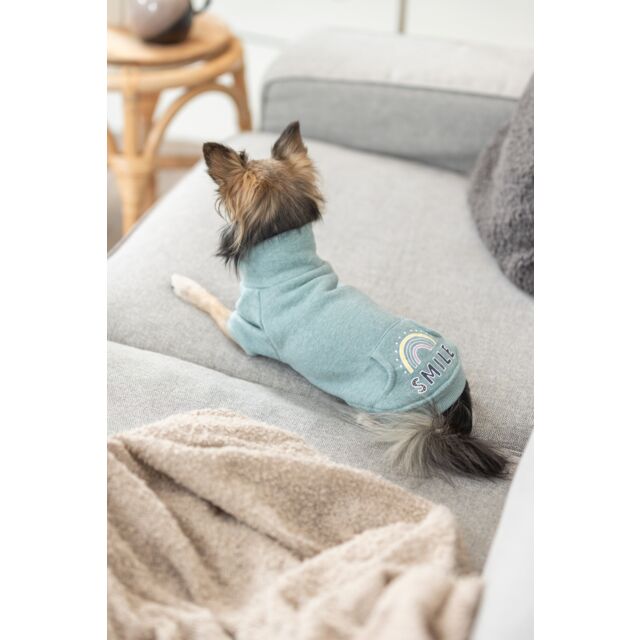Sweat-shirt Littleton