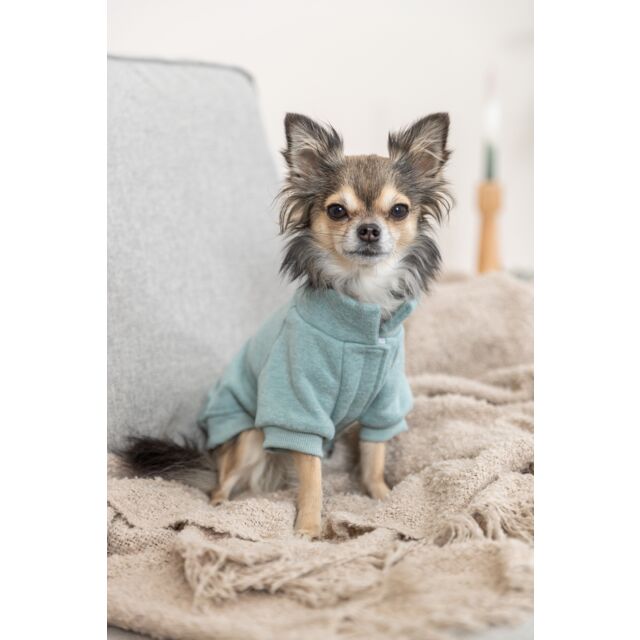 Sweat-shirt Littleton
