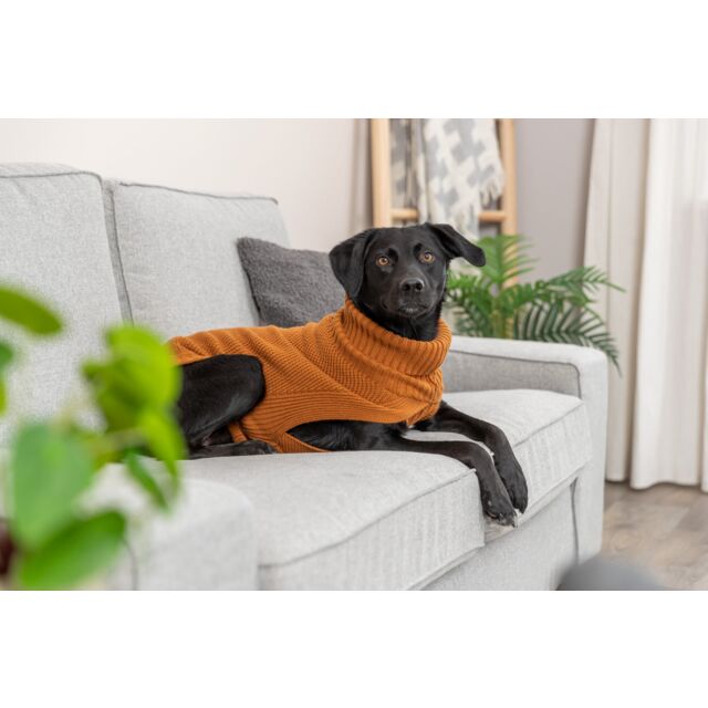 Pullover CityStyle Berlin