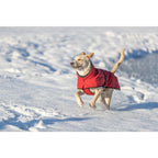 Manteau d’hiver Explore Thermo