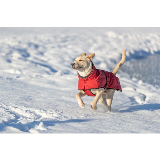 Manteau d’hiver Explore Thermo